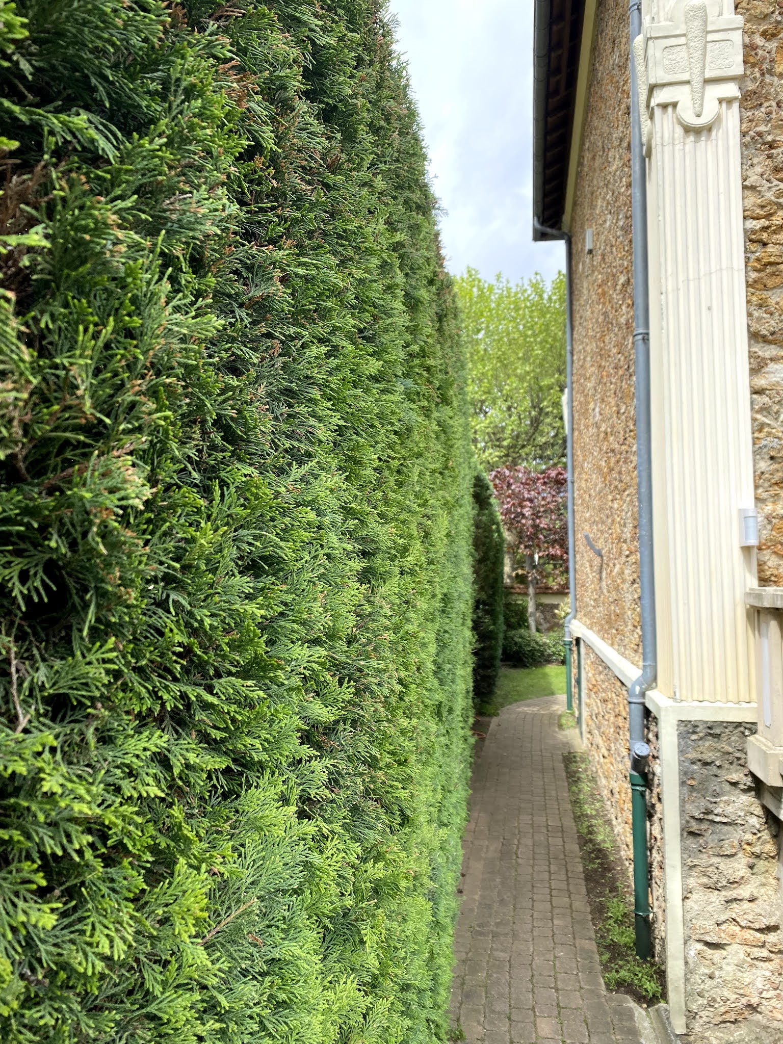 Photo n° 1 de l'avis de Sébastien.A fait le 05/05/2021 à 12:46
