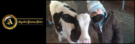 Horse Trainer «Apollo Farms Ltd.», reviews and photos, 3070 Summer Mountain Rd, Palmerton, PA 18071, USA