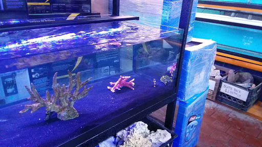 Aquarium «Pacific Aquarium & Plant Inc», reviews and photos, 46 Delancey St #1, New York, NY 10002, USA