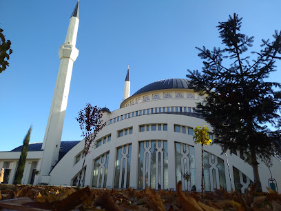 İnönü Üniversitesi Camisi