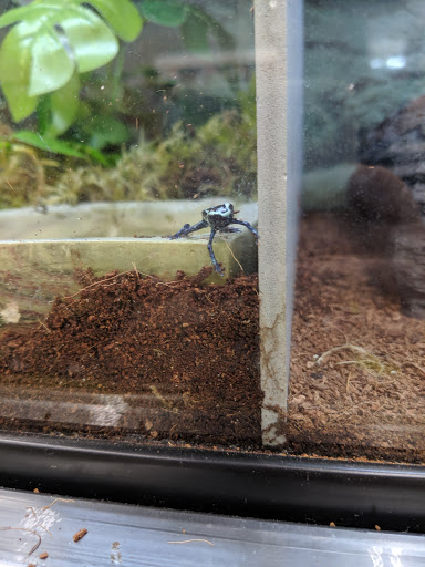 Pet Supply Store «Petco Animal Supplies», reviews and photos, 1215-1309 NJ-33 #1, Hamilton Township, NJ 08690, USA