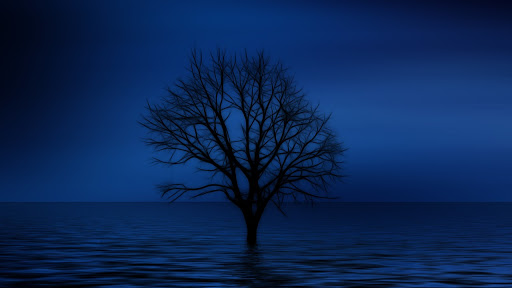 Maria López i Mulet - Psicòloga - Psicoterapeuta en Mataró, Barcelona