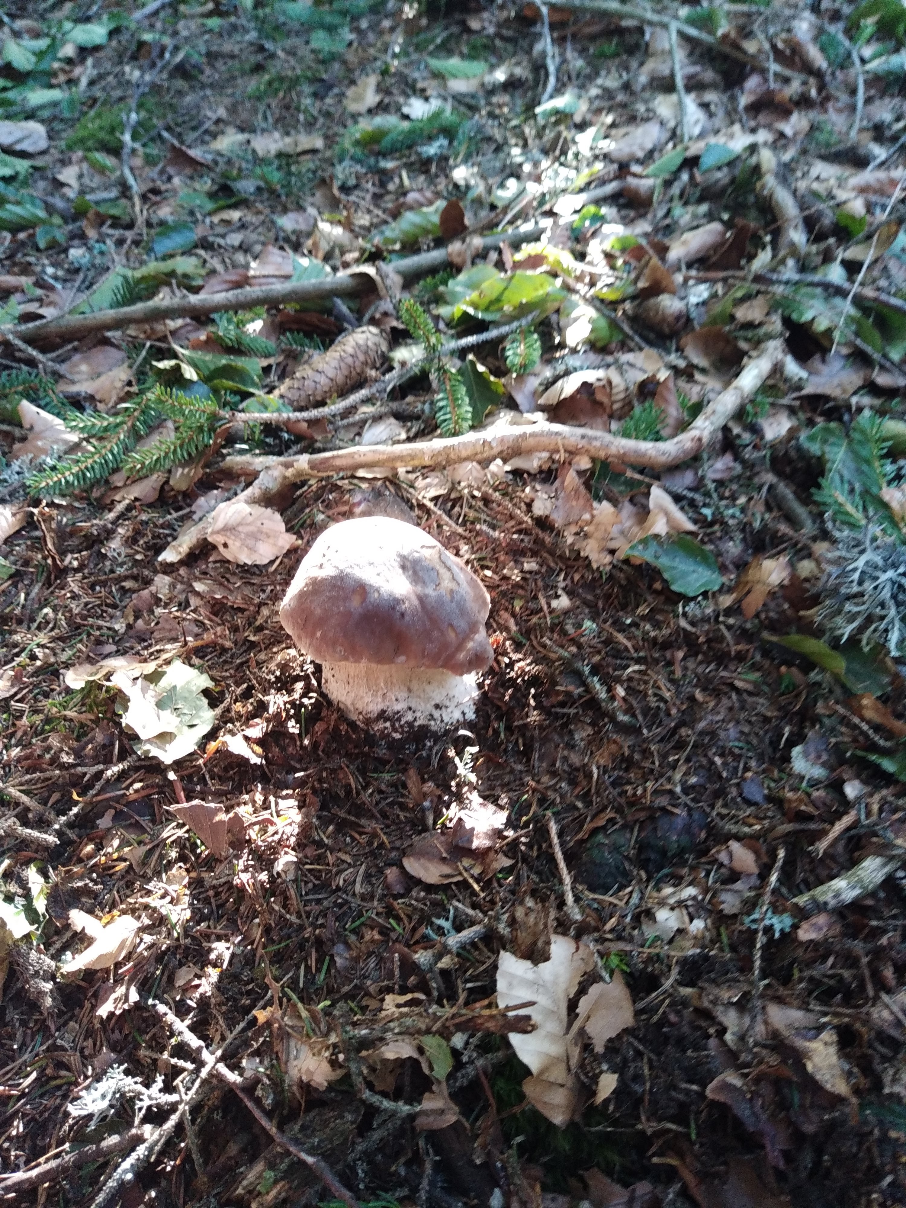 Photo n° 19 de l'avis de Julien.a fait le 15/10/2022 à 19:20