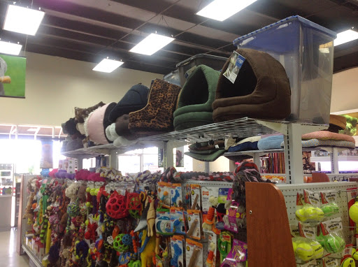 Adventure Pets Covington