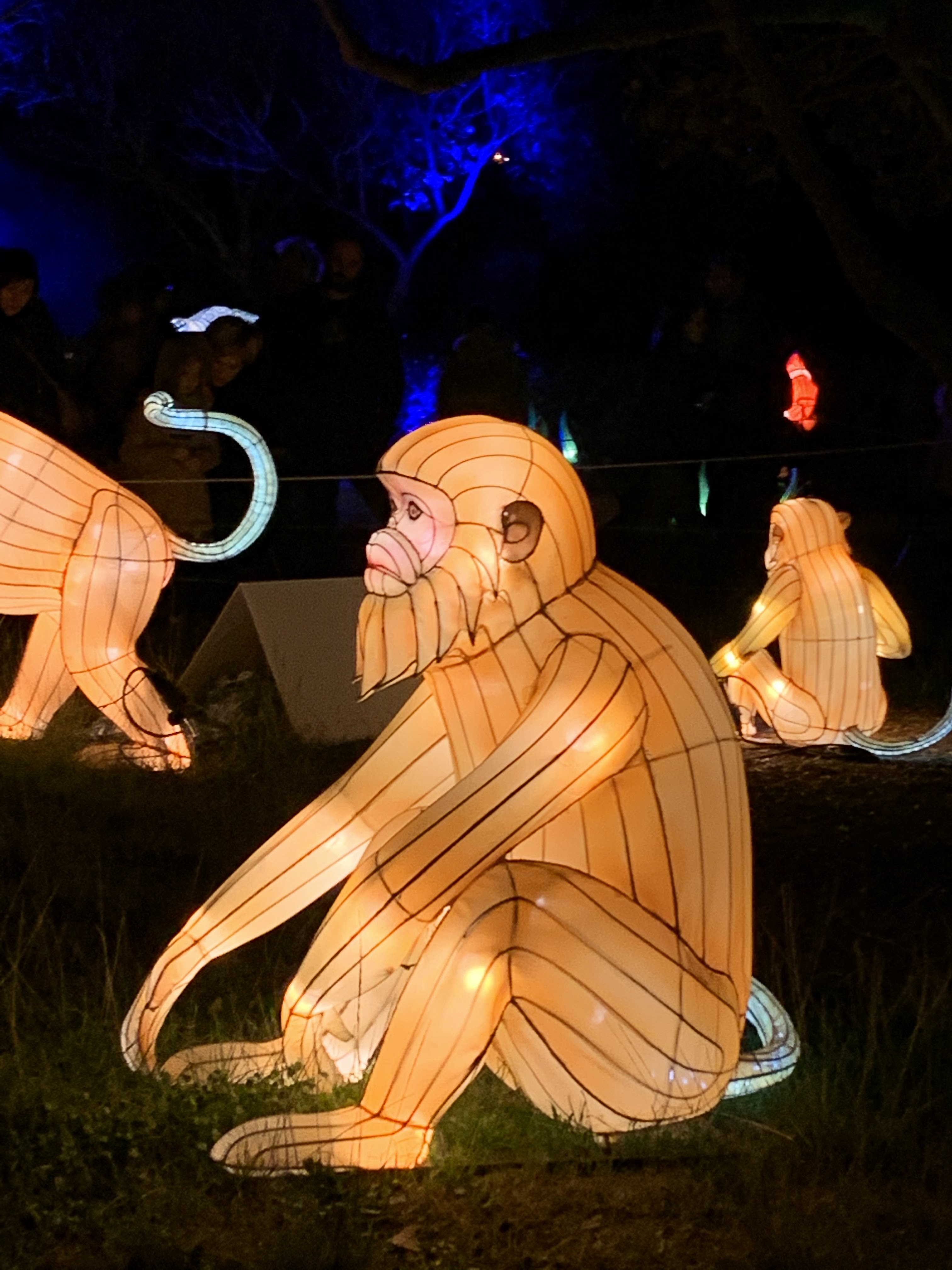 Photo n° 3 de l'avis de C.t fait le 08/01/2020 à 10:58