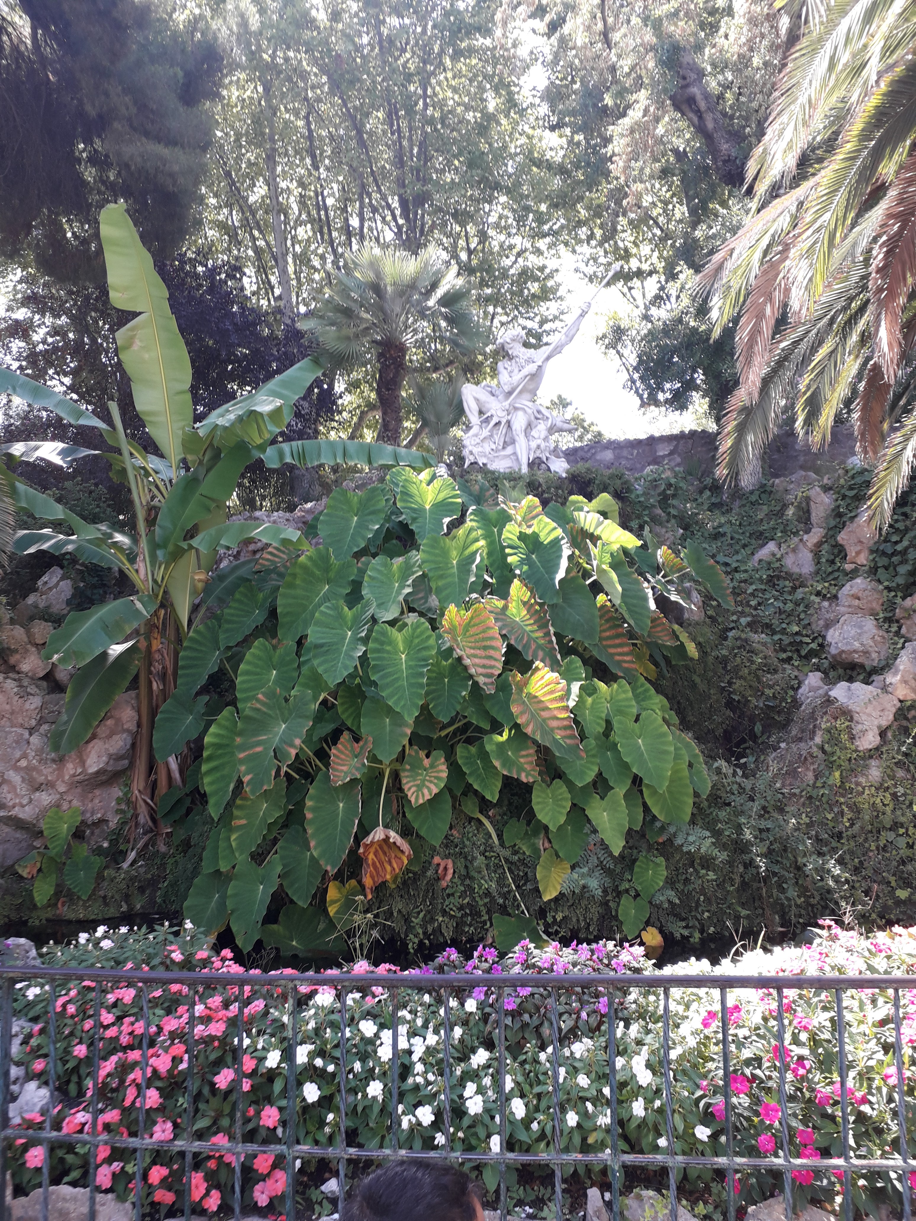 Photo n° 5 de l'avis de Mamar.a fait le 26/08/2019 à 15:16