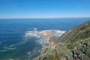 Simbavati Fynbos on Sea image