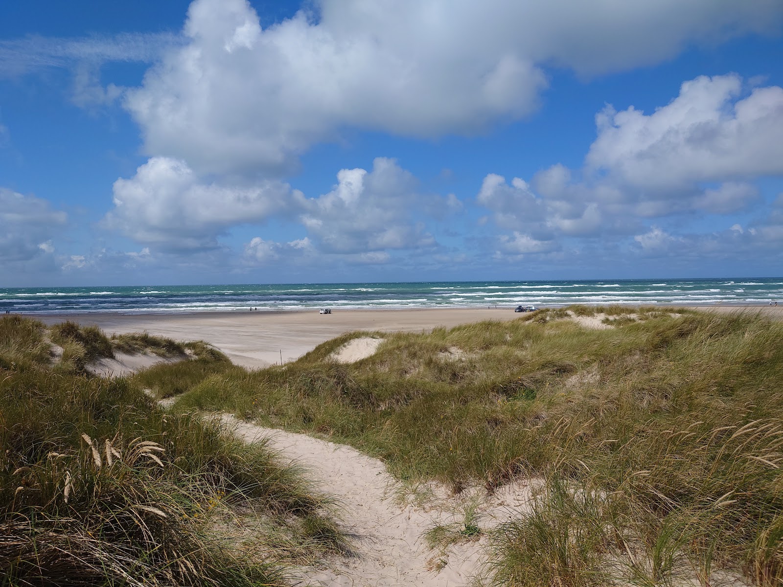 Foto af Grønhøj Strand med lang lige kyst