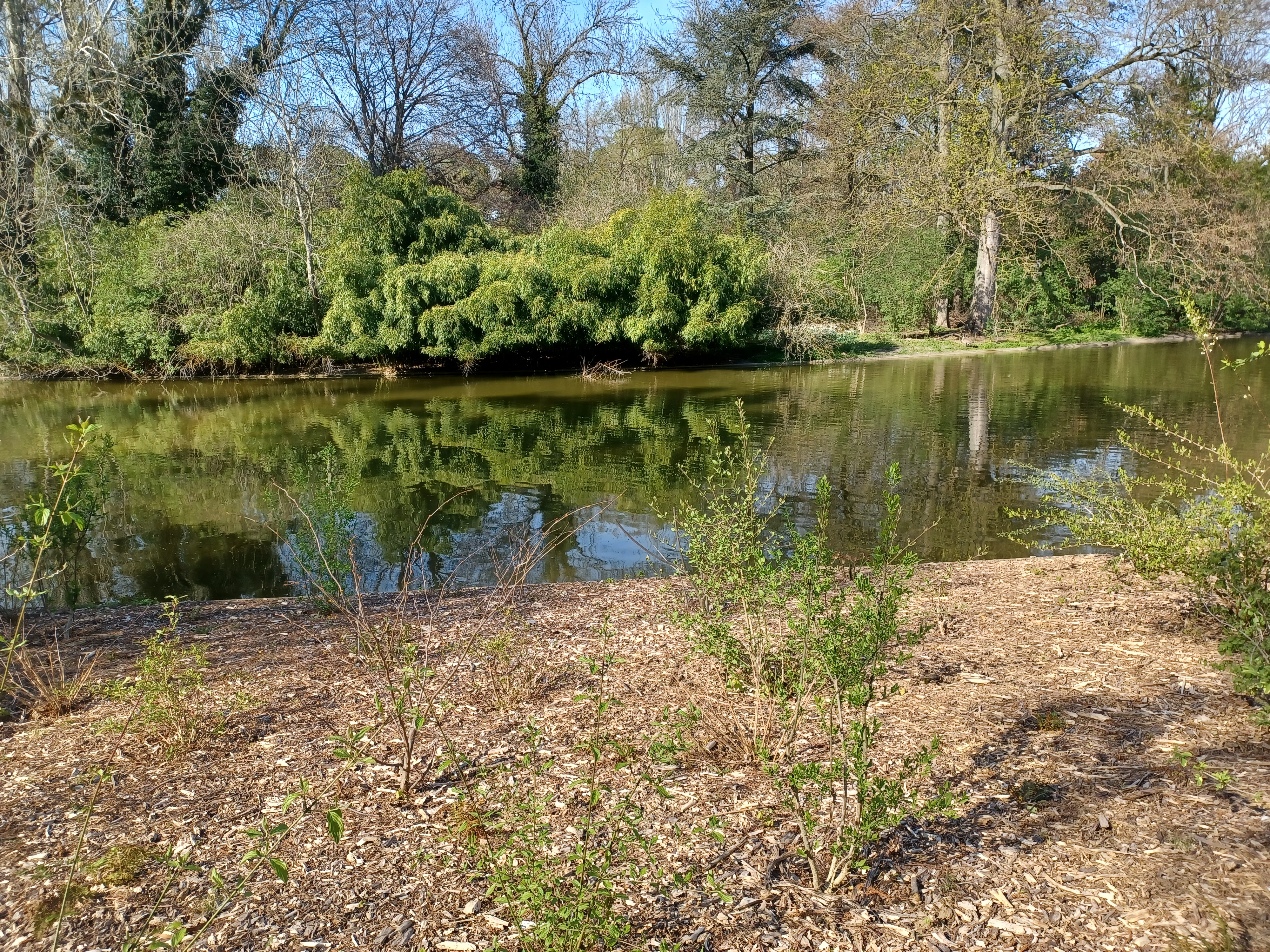 Photo n° 2 de l'avis de Roger.o fait le 16/04/2023 à 09:54