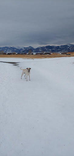 Animal Park «Dog Park At Gallatin County Regional Park (13 Acre w Pond)», reviews and photos, 3900 Baxter Ln, Bozeman, MT 59718, USA