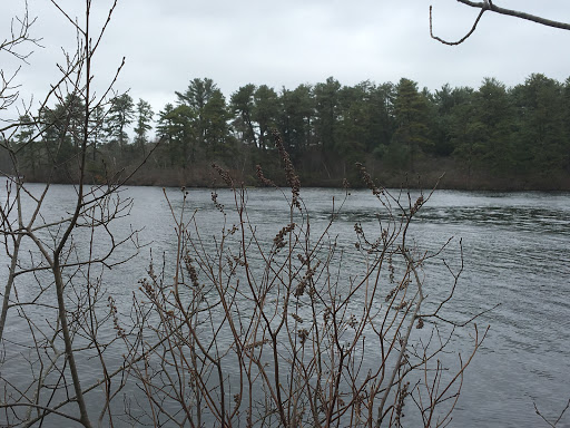 State Park «Myles Standish State Forest», reviews and photos, 194 Cranberry Rd, Carver, MA 02330, USA
