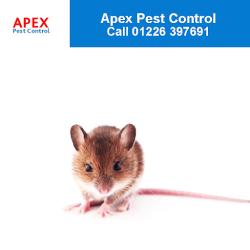 Apex Pest Control - Barnsley - York