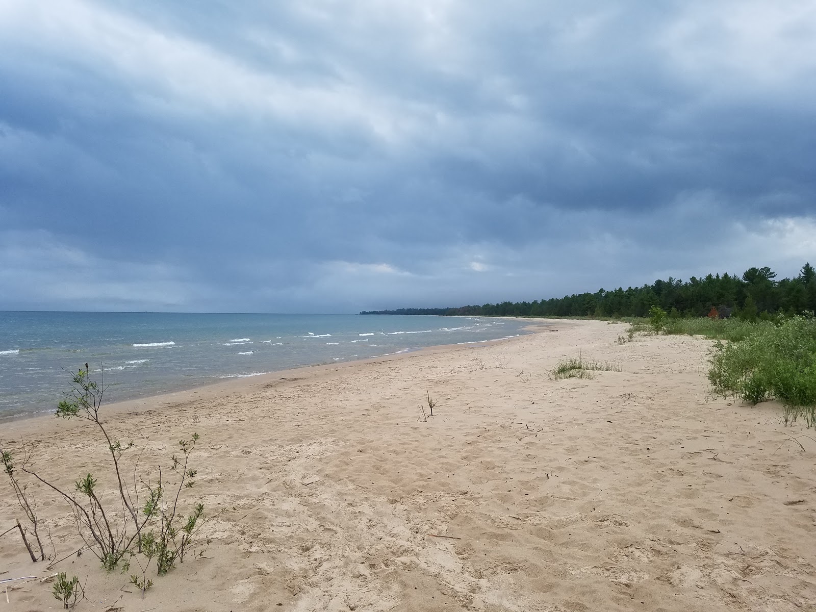 Foto von Negwegon State Park Beach befindet sich in natürlicher umgebung