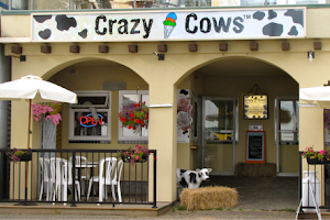Crazy Cows Ice Cream image