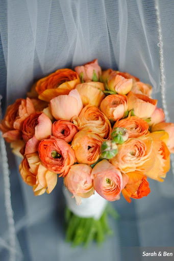 Florist «Carrollwood Florist», reviews and photos, 11745 N Dale Mabry Hwy, Tampa, FL 33618, USA