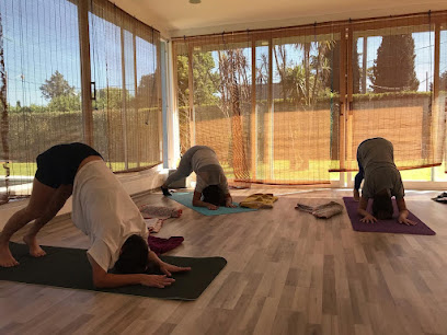 Centro de Yoga OM TARE. Meditación y Reiki en Villa Elisa