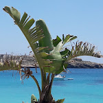 Photo n°11 de l'avis de Marco.a fait le 10/07/2018 à 09:39 sur le  Hotel Sole Lampedusa à Lampedusa