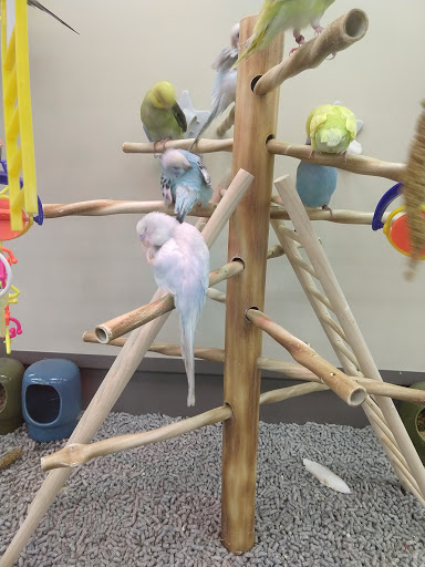 Pet Supply Store «Petco Animal Supplies», reviews and photos, 2210 N Eagle Rd, Meridian, ID 83646, USA