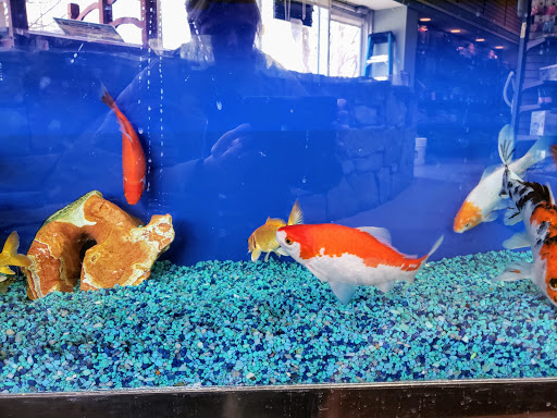 Pet Store «Pet Advantage», reviews and photos, 350 Dorset St # 1, South Burlington, VT 05403, USA