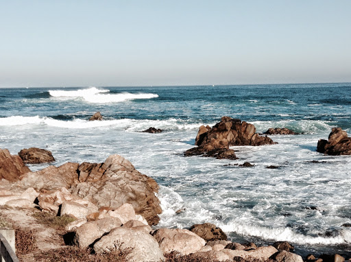 Golf Course «Poppy Hills Golf Course», reviews and photos, 3200 Lopez Rd, Pebble Beach, CA 93953, USA