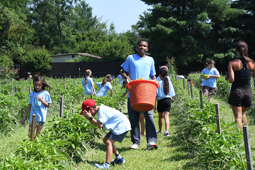 Camp «Fitwize 4 Kids Ashburn», reviews and photos, 21720 Red Rum Dr #112, Ashburn, VA 20147, USA