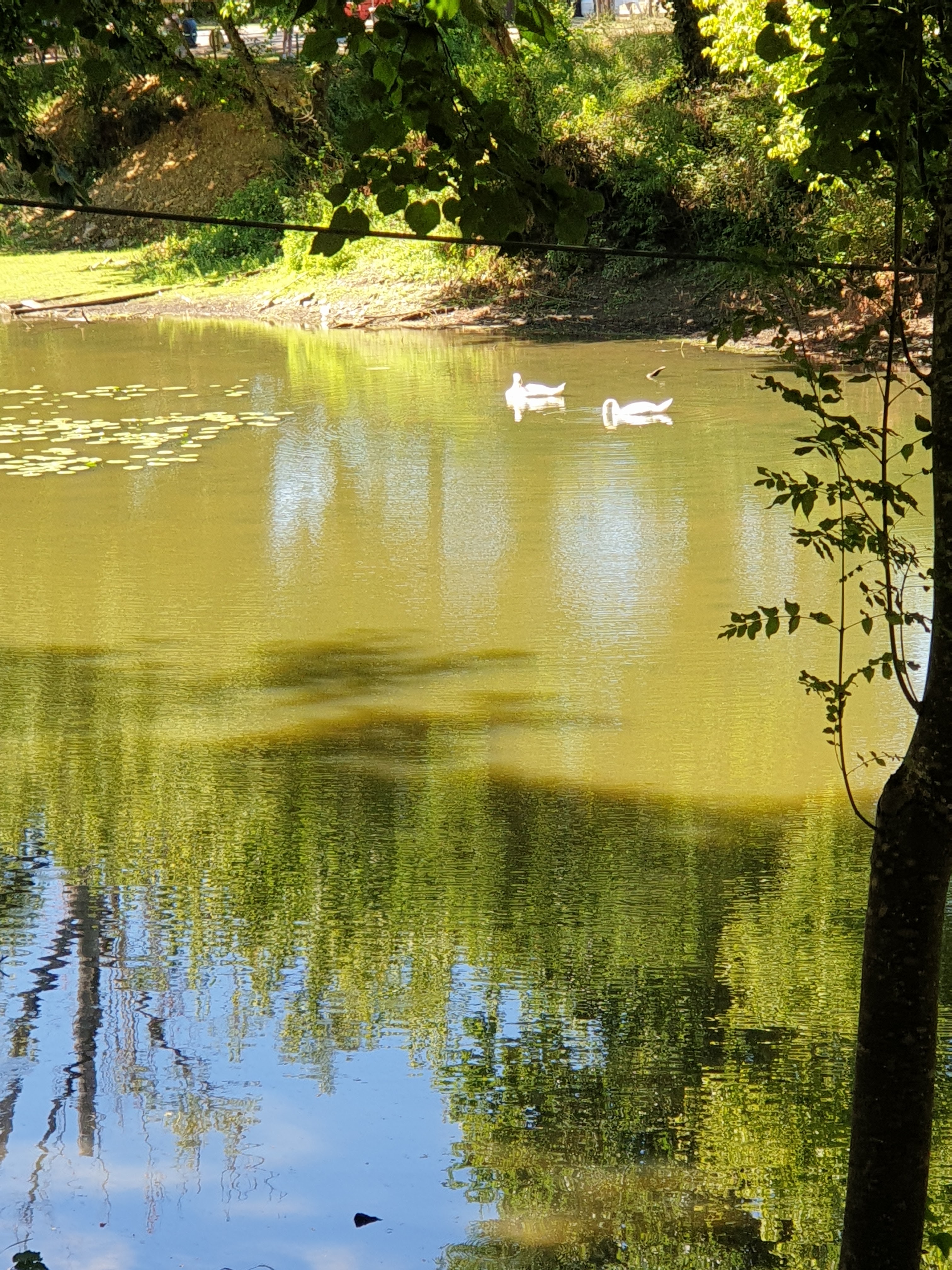 Photo n° 2 de l'avis de Helene.u fait le 19/07/2020 à 15:23