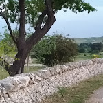 Photo n°17 de l'avis de Daniele. fait le 06/05/2018 à 21:50 sur le  Agriturismo Posta Mangieri à Corato