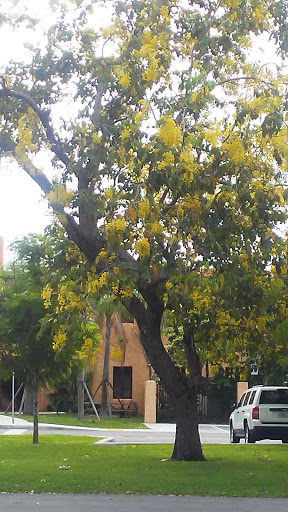 Golf Club «Miami Springs Golf & Country Club», reviews and photos, 650 Curtiss Pkwy, Miami Springs, FL 33166, USA