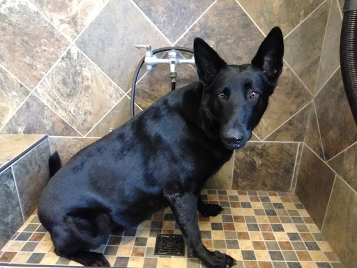 Pet Supply Store «Pet Valu», reviews and photos, 1525 Genntown Dr, Lebanon, OH 45036, USA