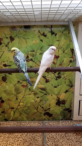 Pet Supply Store «PetSmart», reviews and photos, 1561 N Dysart Rd, Avondale, AZ 85323, USA