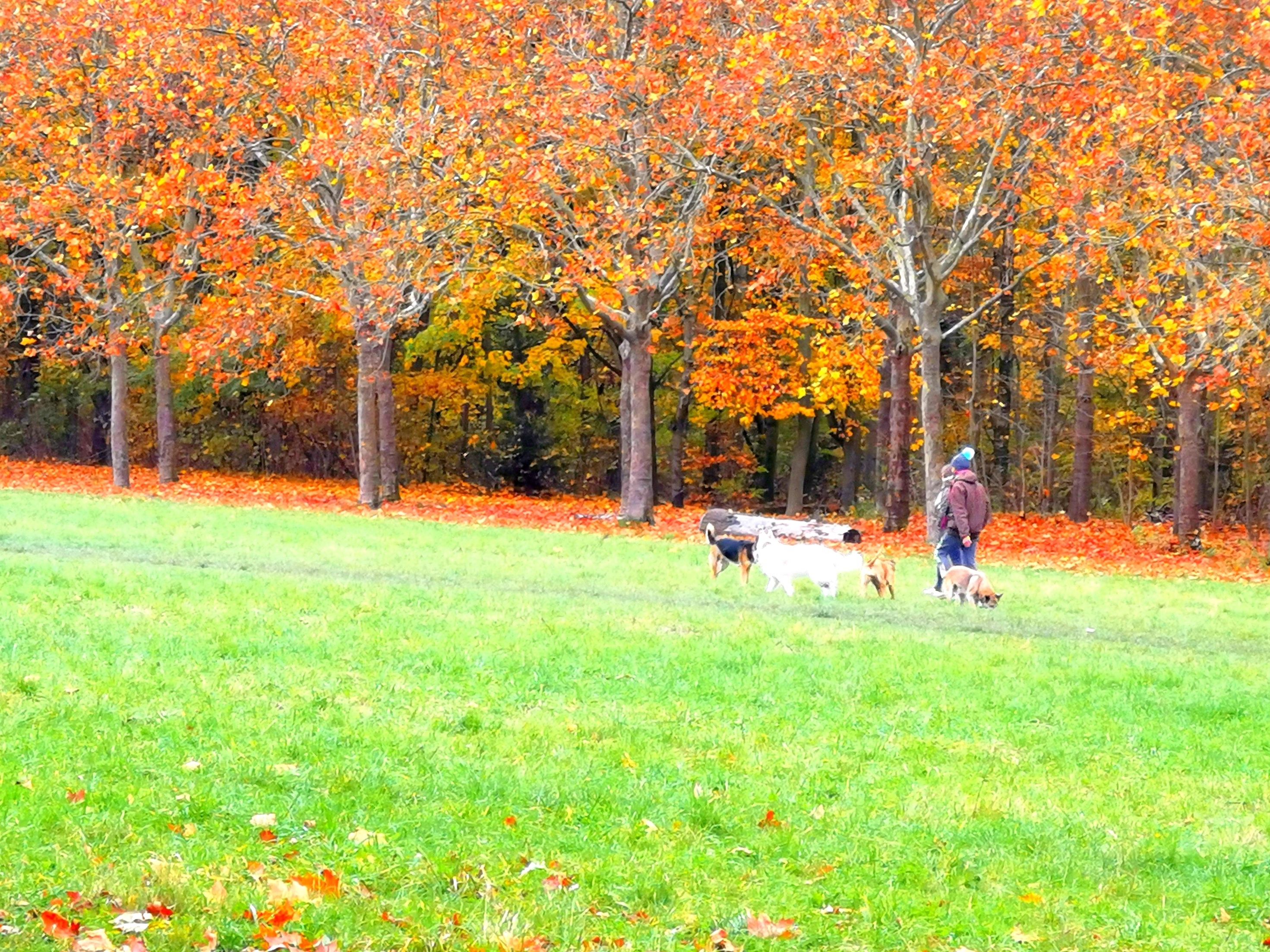 Photo n° 3 de l'avis de Süksön.i fait le 24/03/2022 à 04:33