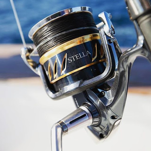 Hardware Store «Sunshine Ace Hardware», reviews and photos, 4433 Tamiami Trail E, Naples, FL 34112, USA