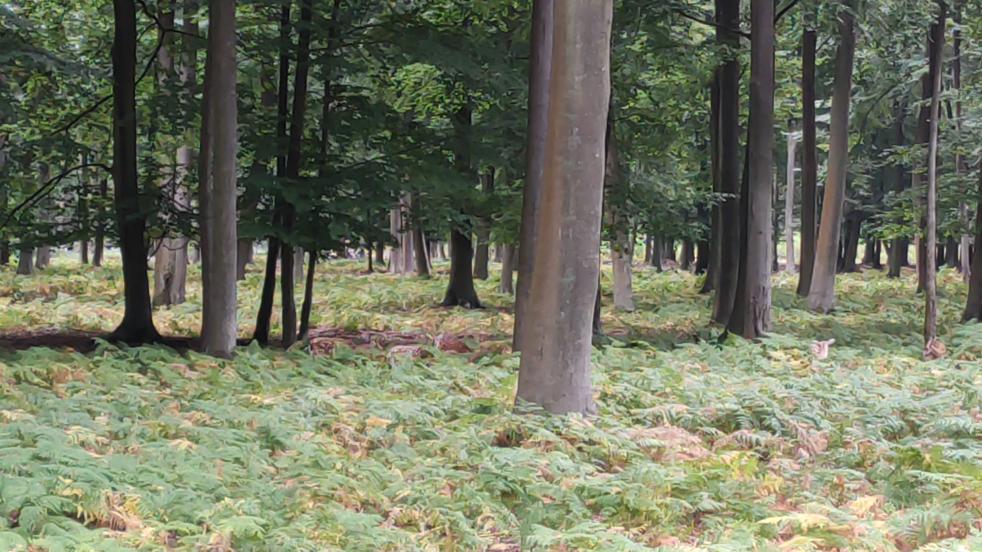 Photo n° 8 de l'avis de LAMBERT.r fait le 16/08/2022 à 19:17