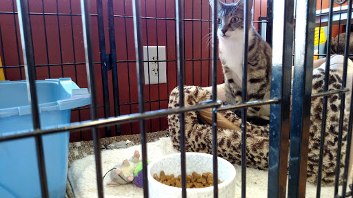 Pet Store «Pet Valu», reviews and photos, 604 Plaza Dr, Newark, DE 19702, USA