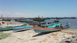 Vembar Beach'in fotoğrafı vahşi alan