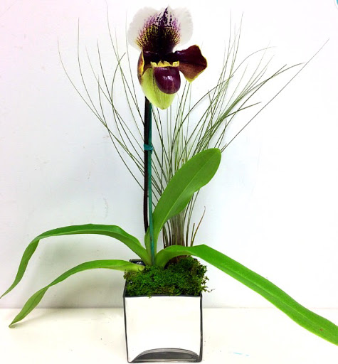 Florist «Formaneta», reviews and photos, 939 Crandon Blvd, Key Biscayne, FL 33149, USA