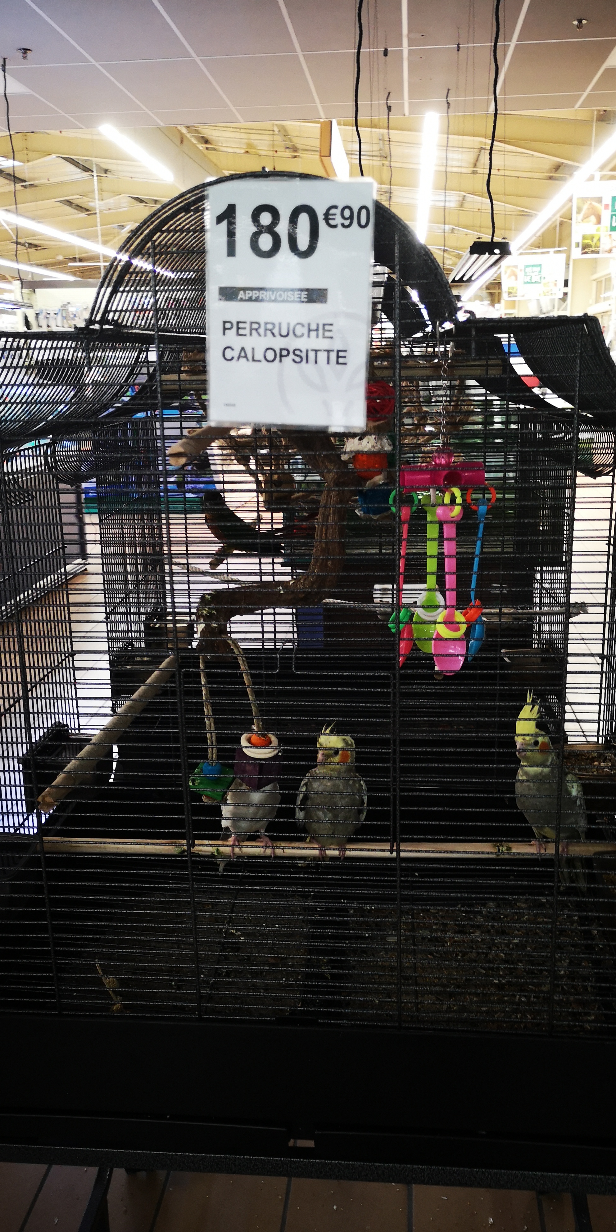Photo n° 7 de l'avis de Mon.o fait le 31/05/2019 à 16:17