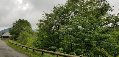 Falaise de Lortet à Lortet