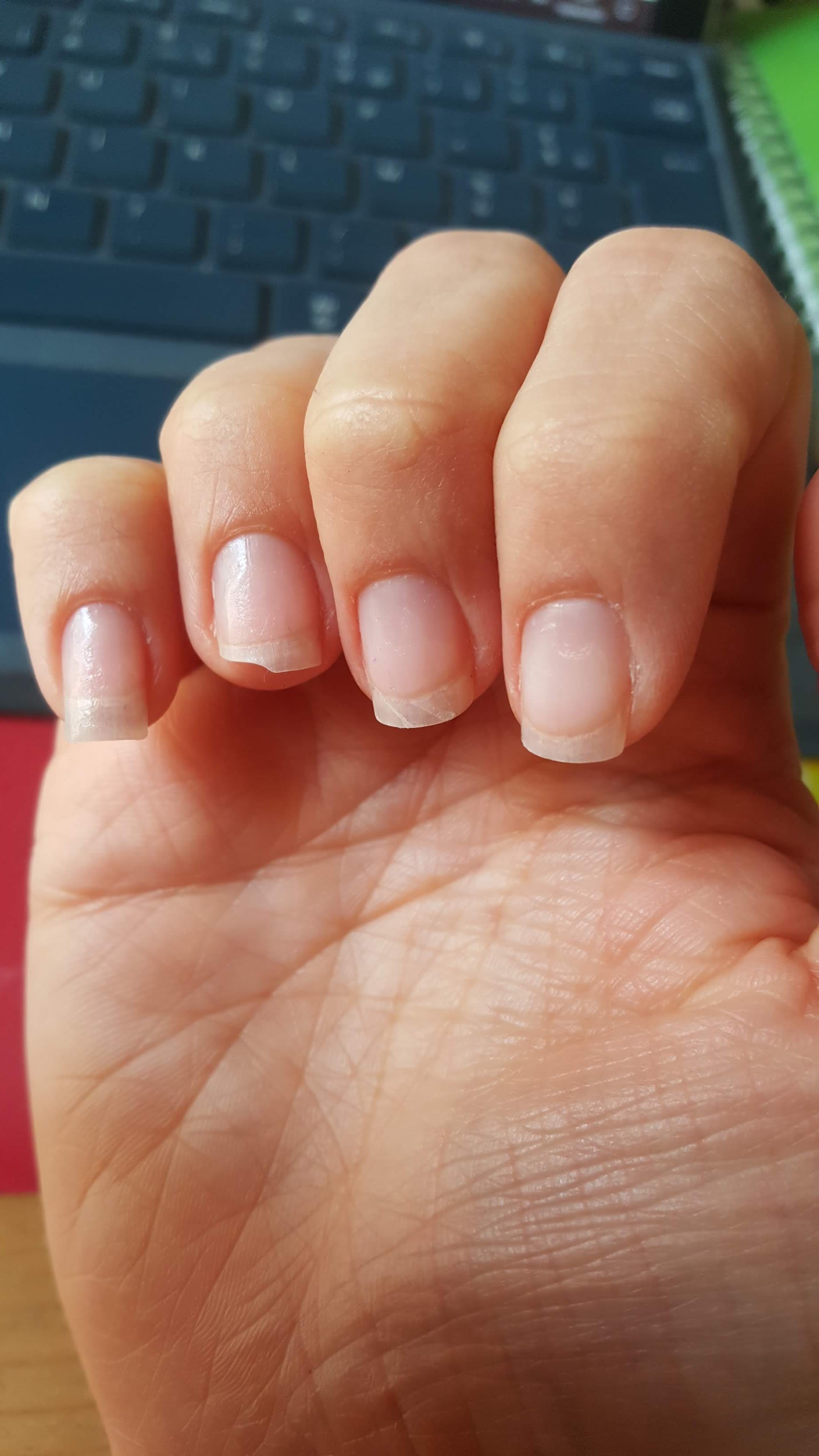 Photo n° 1 de l'avis de Ludivine.a fait le 20/04/2022 à 12:41
