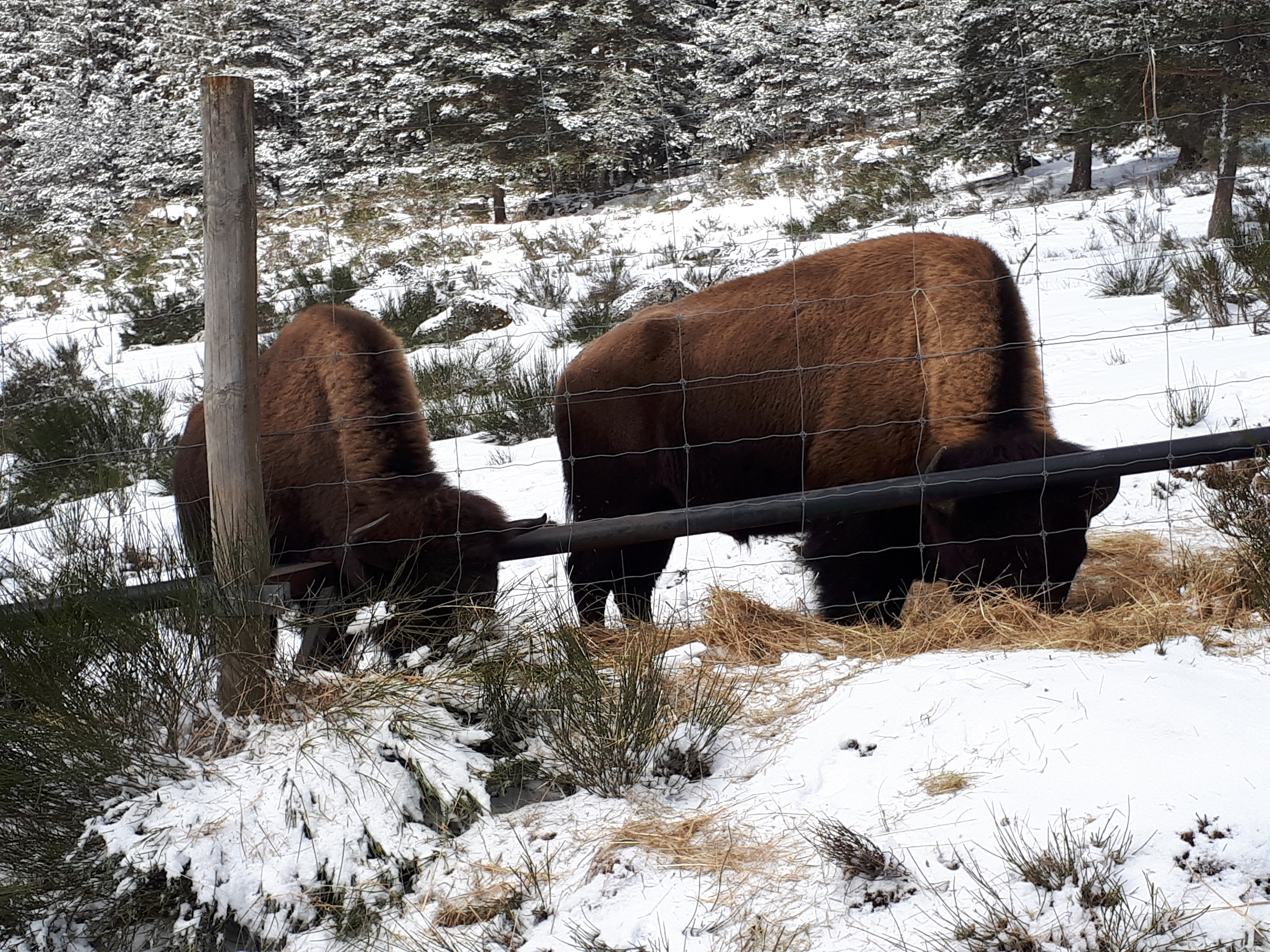 Photo n° 2 de l'avis de Romain.o fait le 26/02/2018 à 13:20