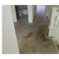 United Carpet Care - Photo 9 - Car repair in , Concord