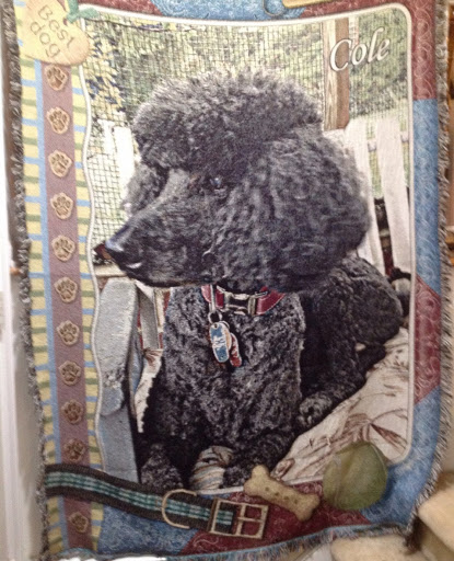 Gift Shop «The Memories Place», reviews and photos, 148 Westville Dr, Conway, SC 29526, USA