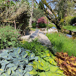 Photo n° 31 de l'avis de Jocelyne.l fait le 17/05/2022 à 21:30 pour Les jardins aquatiques d'Acorus à Autoreille