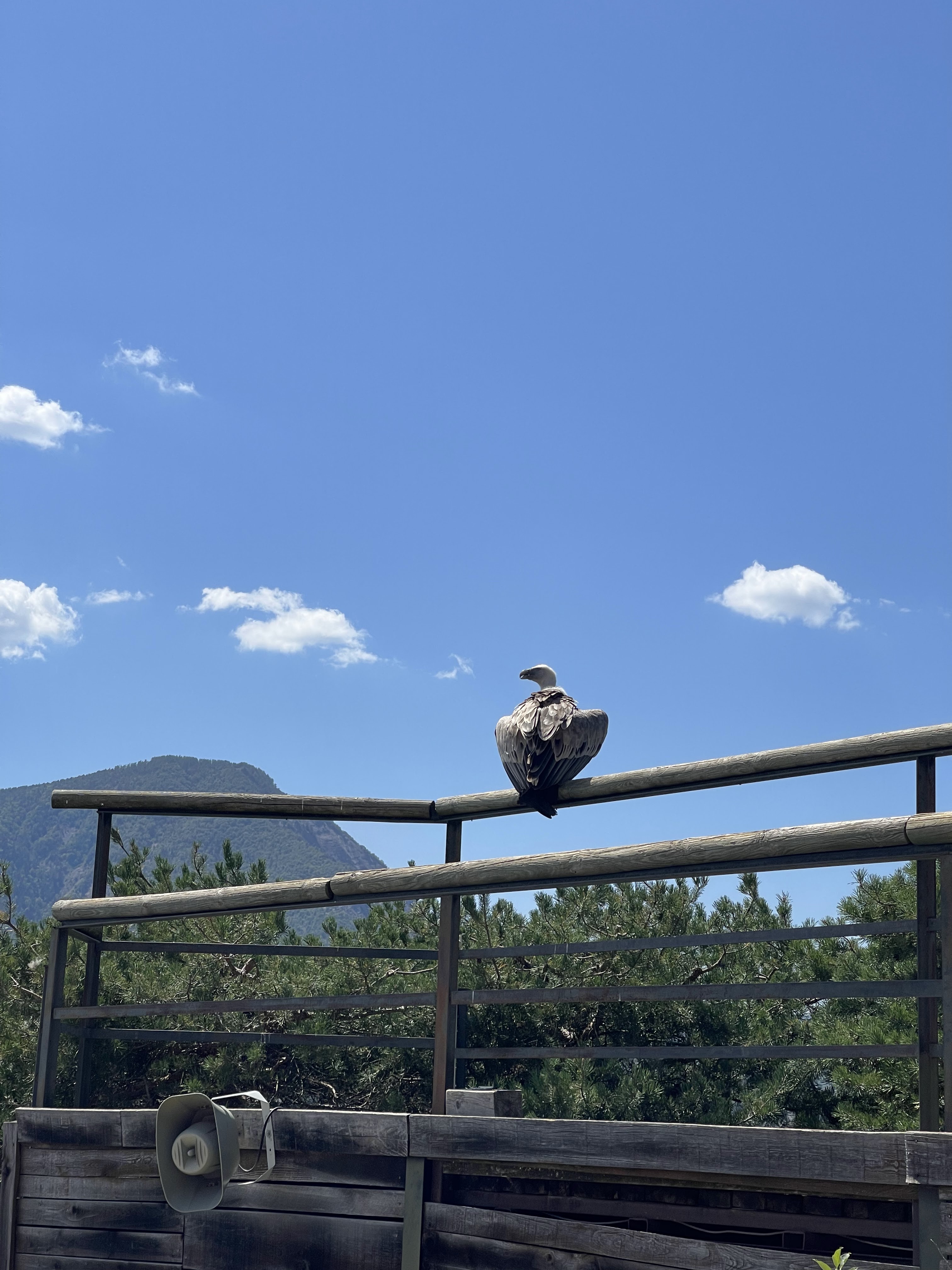 Photo n° 7 de l'avis de Ange.e fait le 13/08/2023 à 22:52