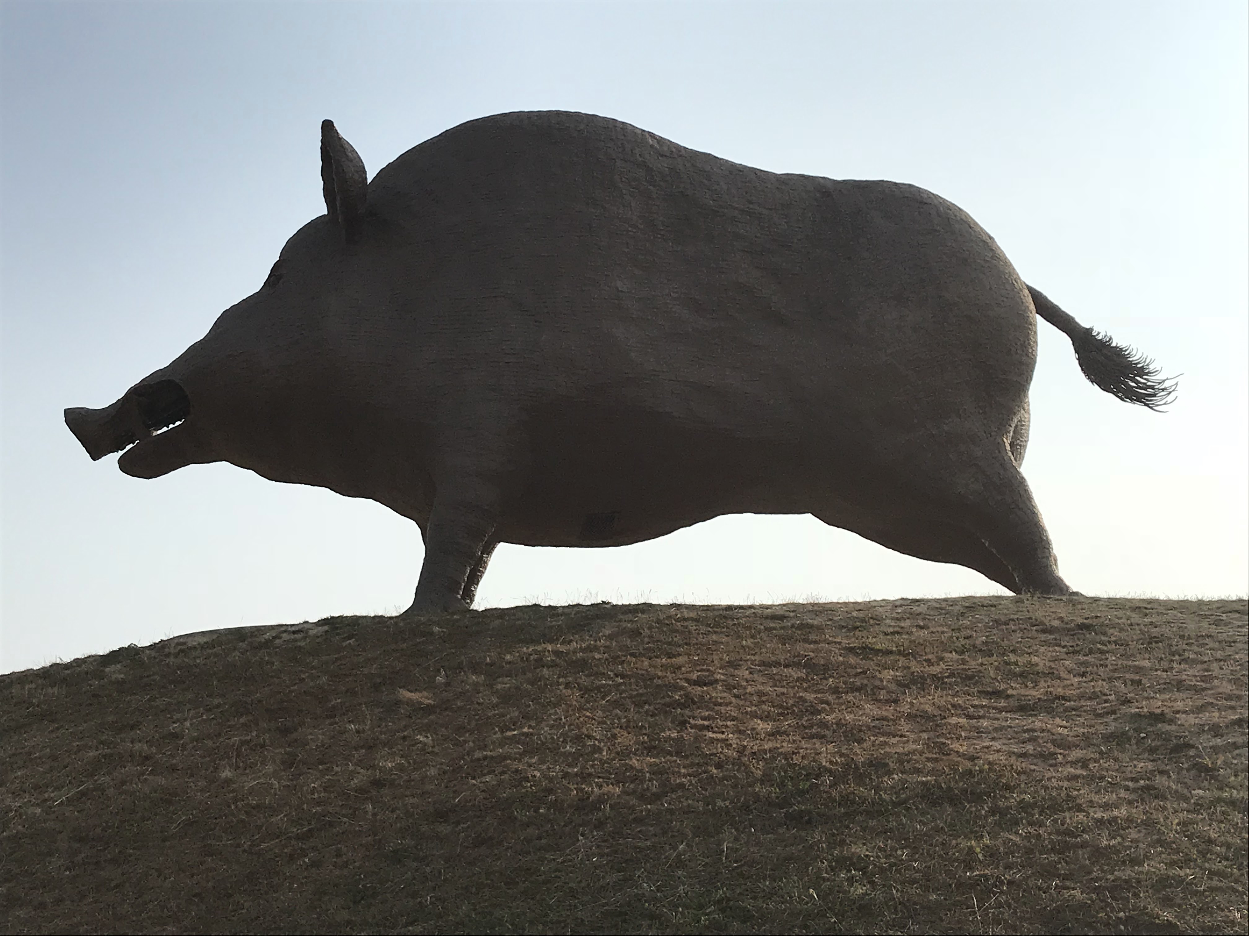 Photo n° 5 de l'avis de E. fait le 01/07/2018 à 13:42