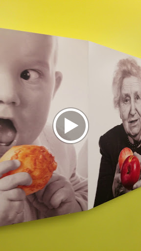 Non-Profit Organization «Houston Food Bank», reviews and photos