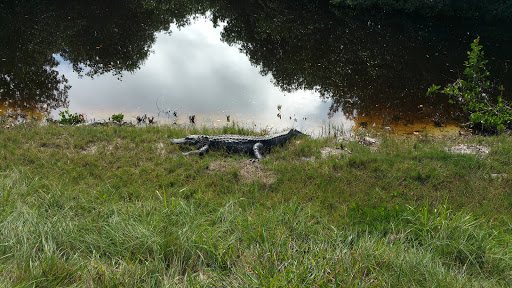 Wildlife Refuge «Ding Darling Wildlife Refuge», reviews and photos, 1 Wildlife Dr, Sanibel, FL 33957, USA