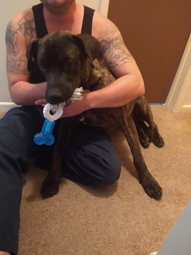 Pet Supply Store «Petco Animal Supplies», reviews and photos, 6761 Westminster Ave, Westminster, CA 92683, USA