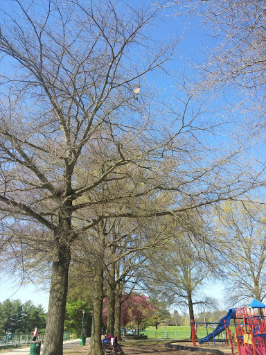 Park «Delcastle Recreational Park», reviews and photos, 2920 Duncan Rd, Wilmington, DE 19808, USA