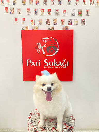 Pati Sokağı Pet Shop & Pet Kuaför & Pet Butik | Nazilli Aydın - Evcil Hayvan Kuaförü